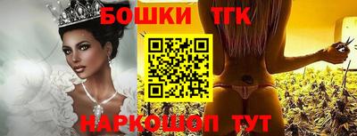 индика Славгород