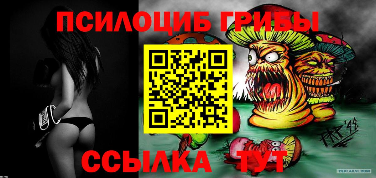 Галлюциногенные грибы GOLDEN TEACHER Орехово-Зуево